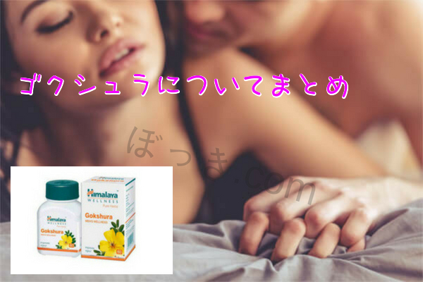 ゴクシュラまとめ