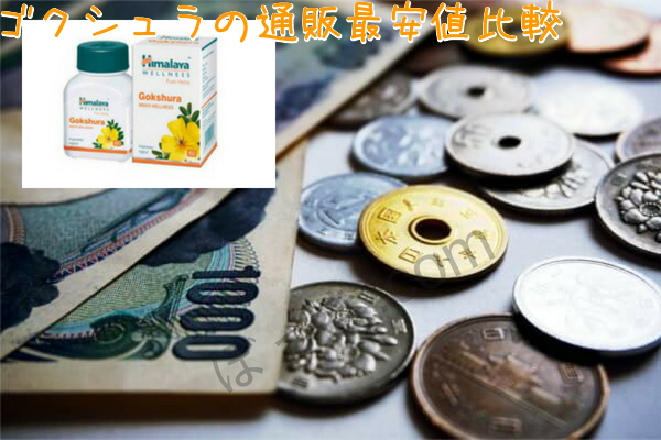 ゴクシュラ通販最安値