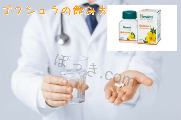 ゴクシュラ飲み方