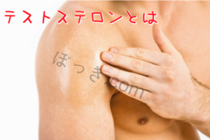 テストステロンとは