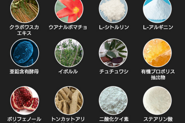 ギガエレクト130種類の成分