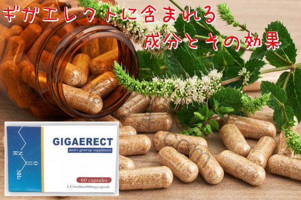 ギガエレクトに含まれる成分とその効果