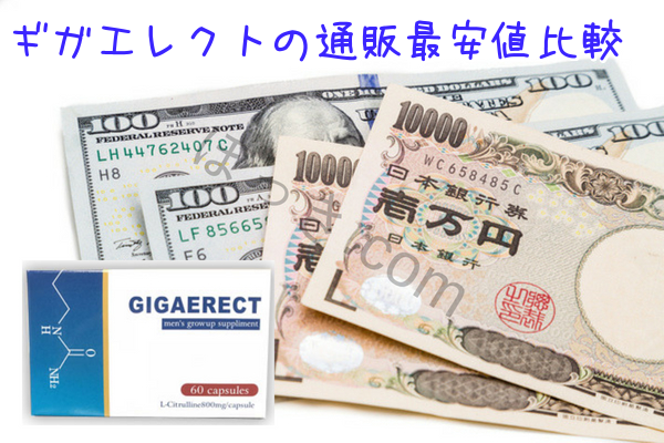 ギガエレクトの通販最安値比較