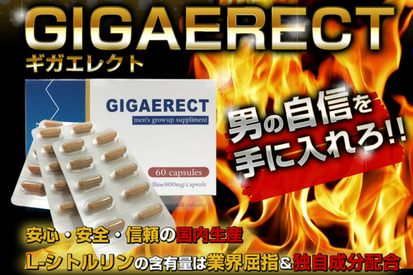 ギガエレクト最安値